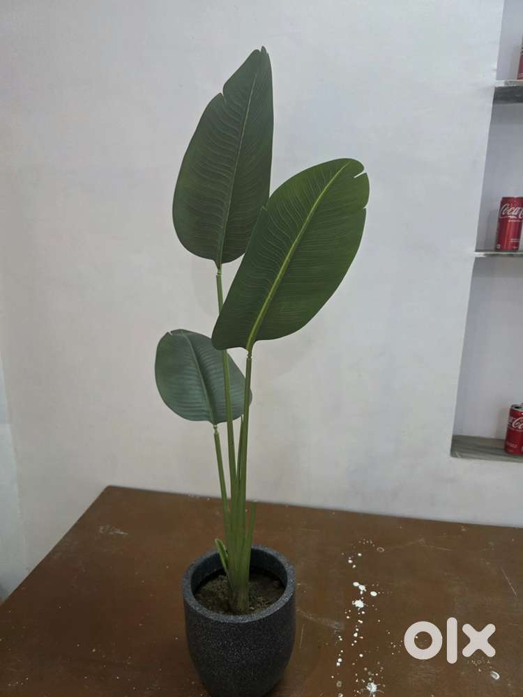 Fake Plant