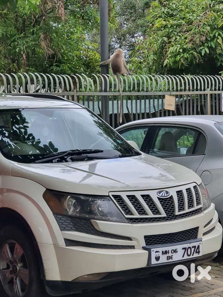 Mahindra Xuv 500 Execllent