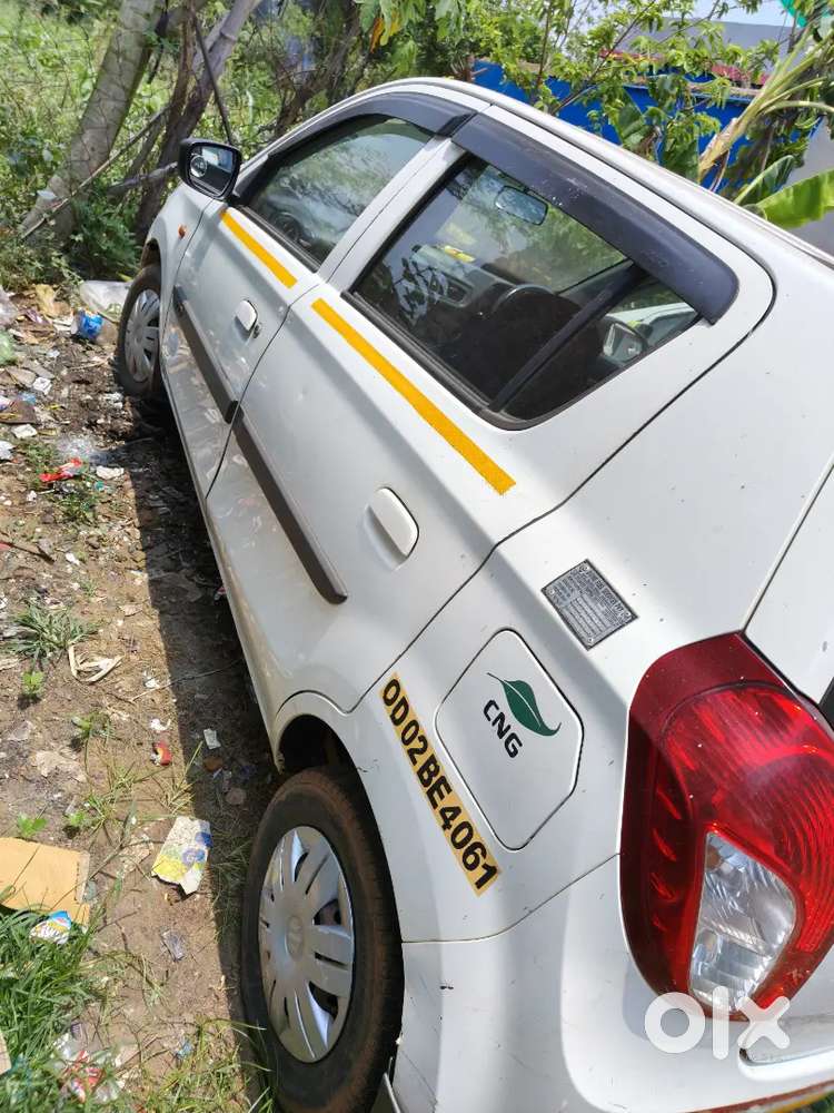 Maruti Suzuki Alto 800 2019 Cng & Hybrids 74000 Km Driven
