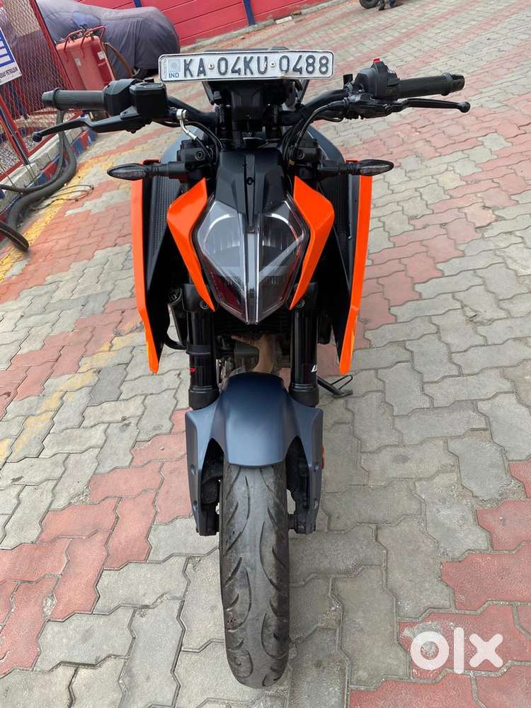 Duke 250 2024 Motorcycles 1821703004