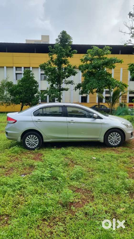 Maruti Suzuki Ciaz 2015 Diesel Well Maintained