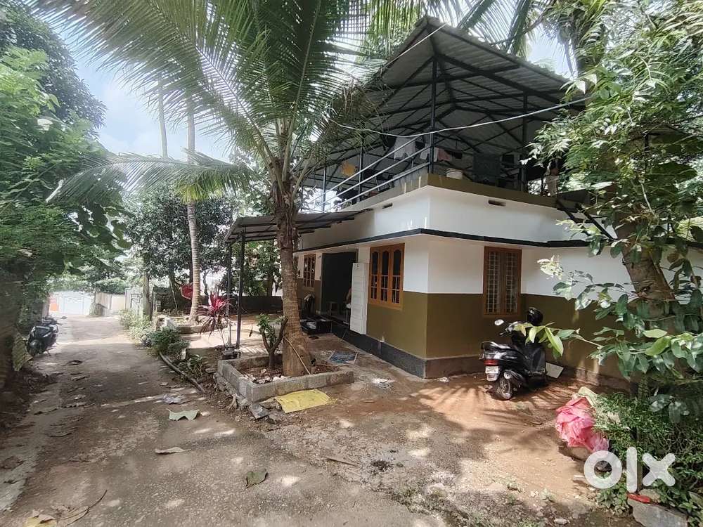 13 cent land and good conditions home for small families