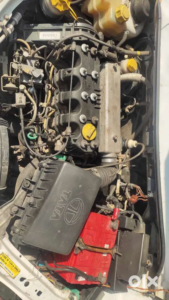 Indica V2 2012