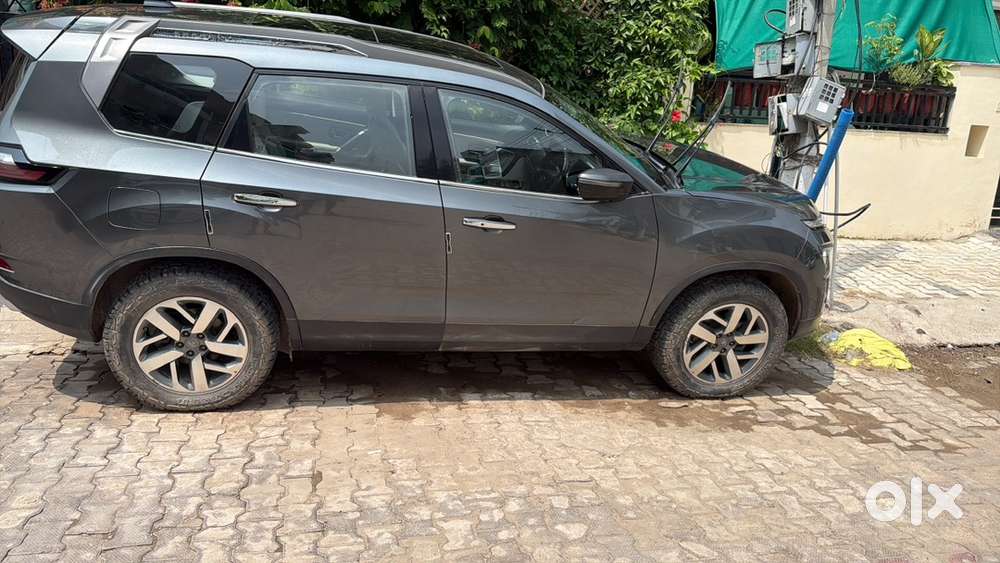 Top Model Safari In Mint Condition
