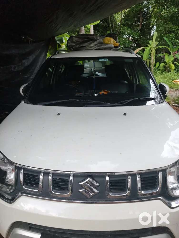 Petrol Well Maintained Full Company Service Insurance Bumper To Bumper