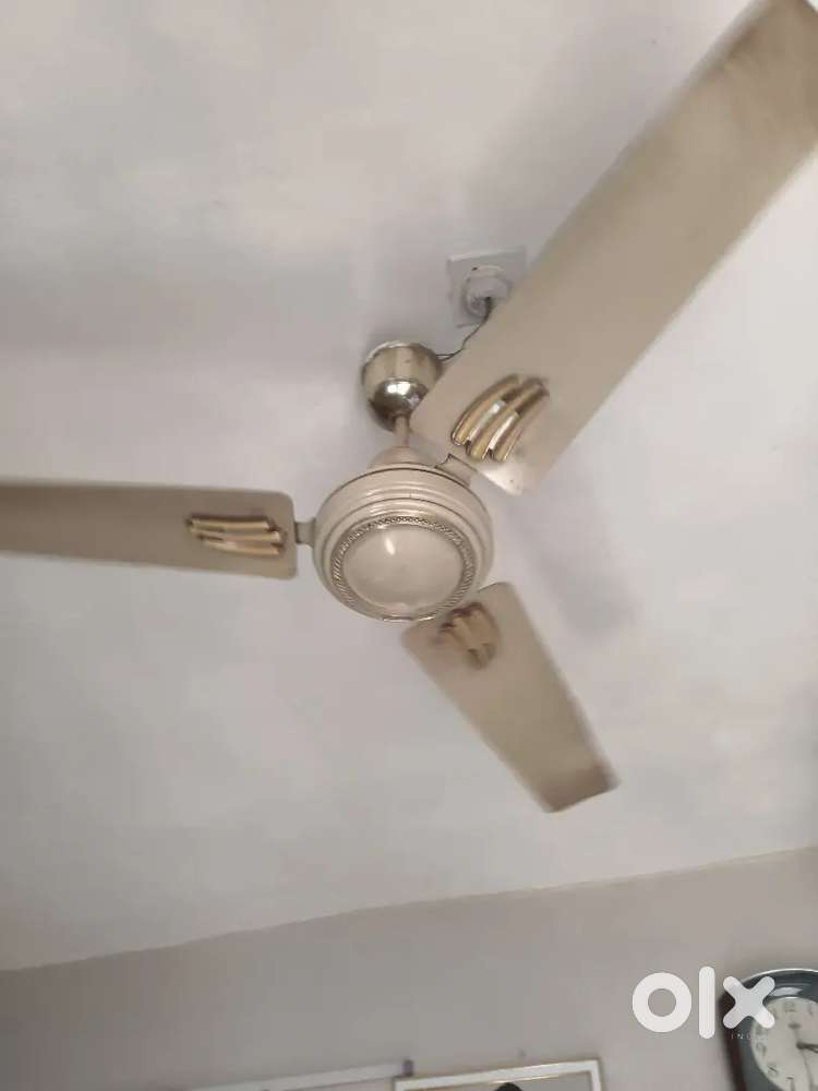 Havells fan