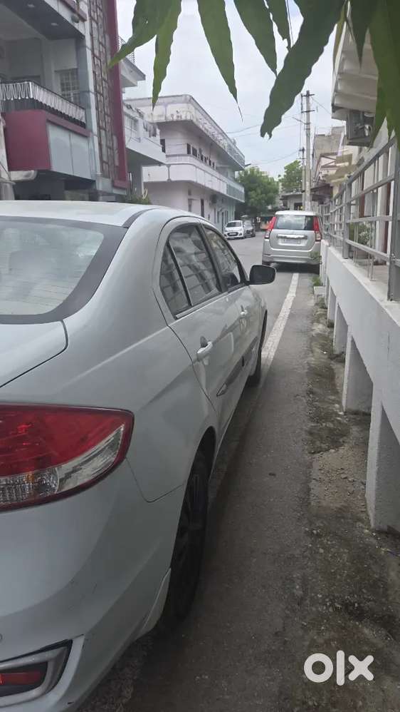Maruti Suzuki Ciaz Diesel 2019
