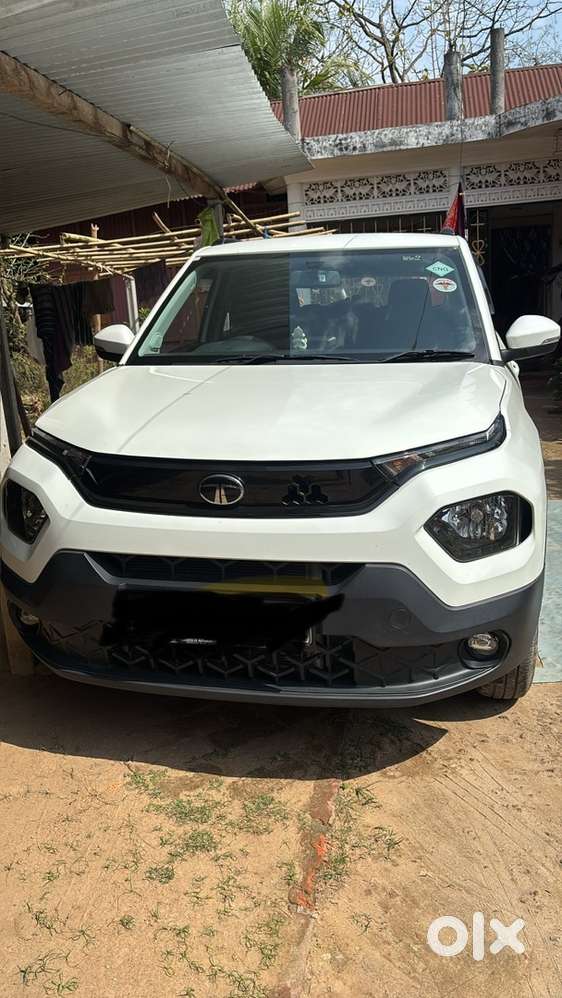 5 Months Old Cng Punch