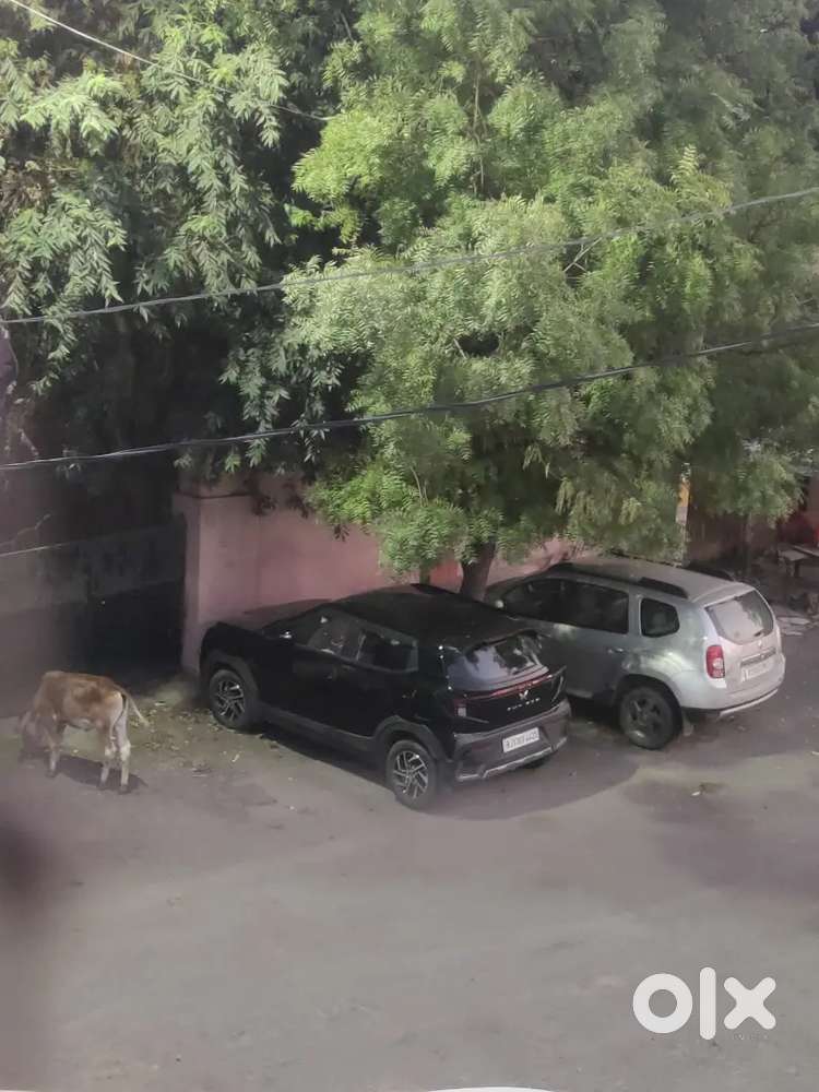 Mahindra Xuv 3xo 2024 Petrol 8500 Km Driven