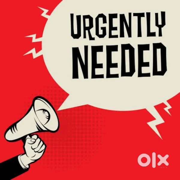 Onboarding Executive - Chennai