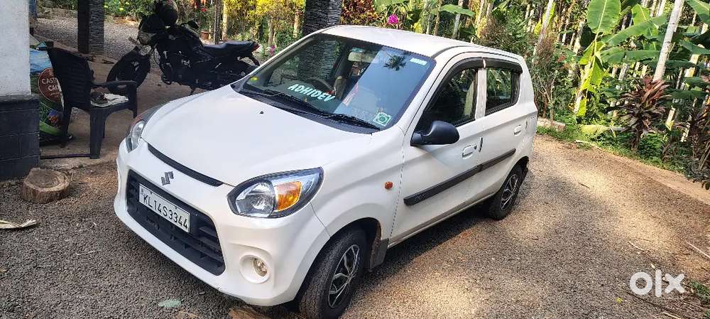 Alto 800 White