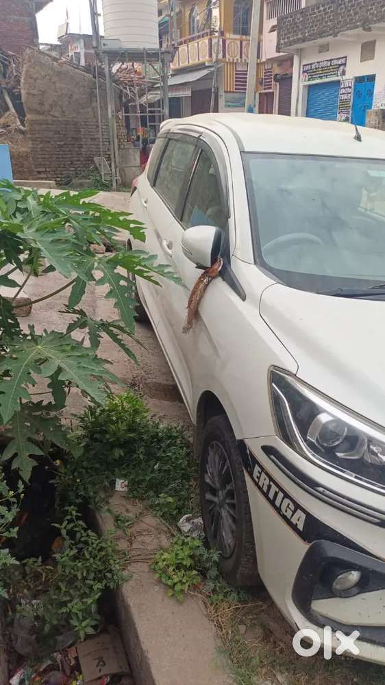 Maruti Ertiga Anniversary 2021