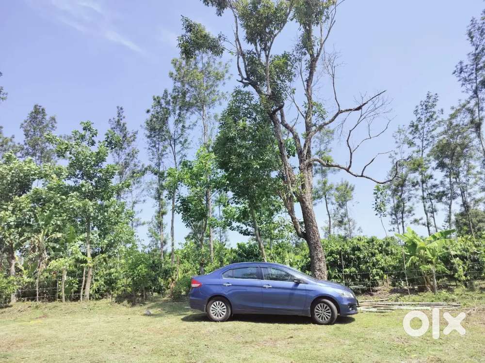 Ciaz 2017/2018 Petrol 68000 Km Driven, Blue Color, Single Owner