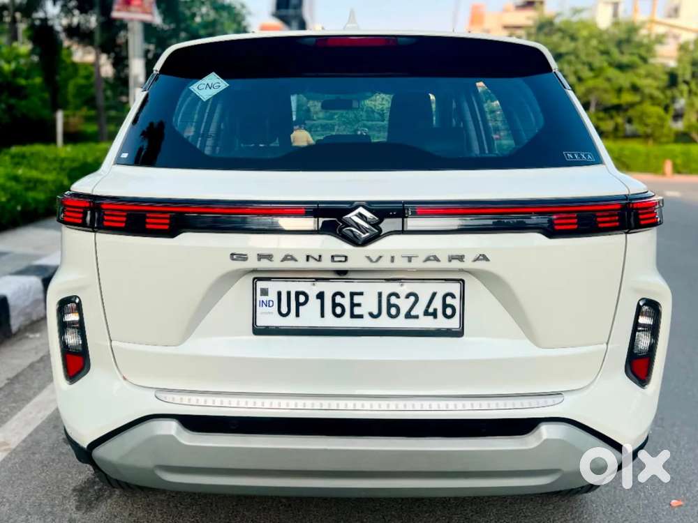 Maruti Suzuki Grand Vitara 1.5 Delta Cng, 2024, Cng & Hybrids