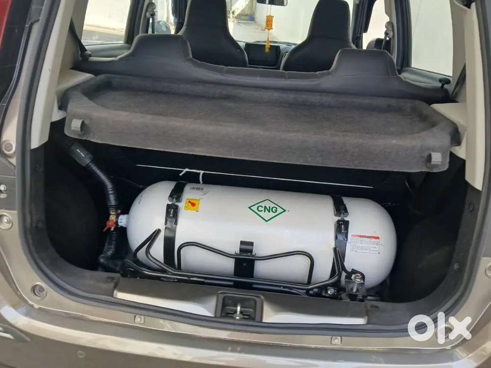 Maruti Suzuki Wagon R 2025 Lxi Cng