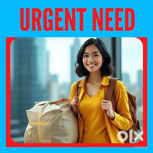 GROCERY Delivery Boys Mp Nagar