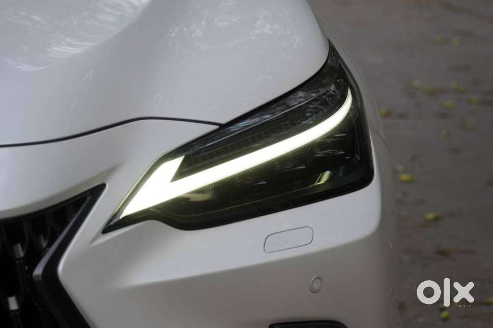 Lexus Nx 350h Exquisite, 2024, Petrol