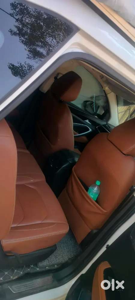Mg Hector Plus