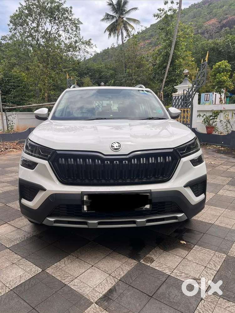 Skoda Kushaq 2023 Petrol 29000 Km Driven