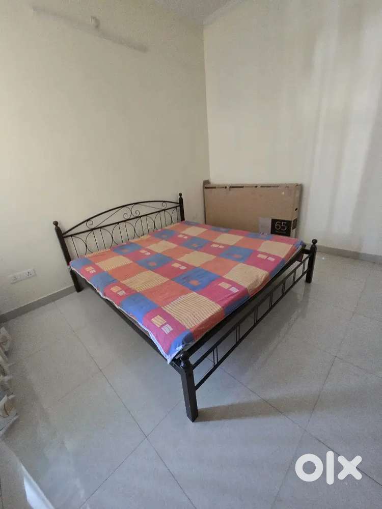 Iron Bed with Mattress