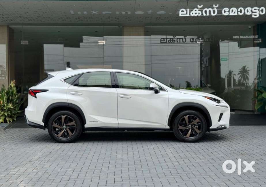 Lexus Nx Lexus-nx-300h-luxury, 2020, Petrol