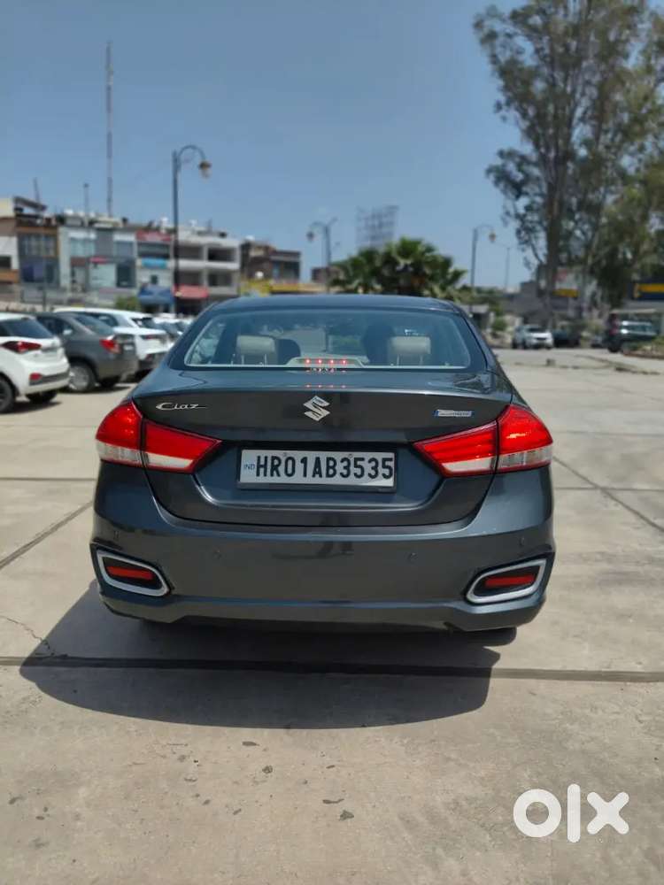 Ciaz Alpha Smart Highbread