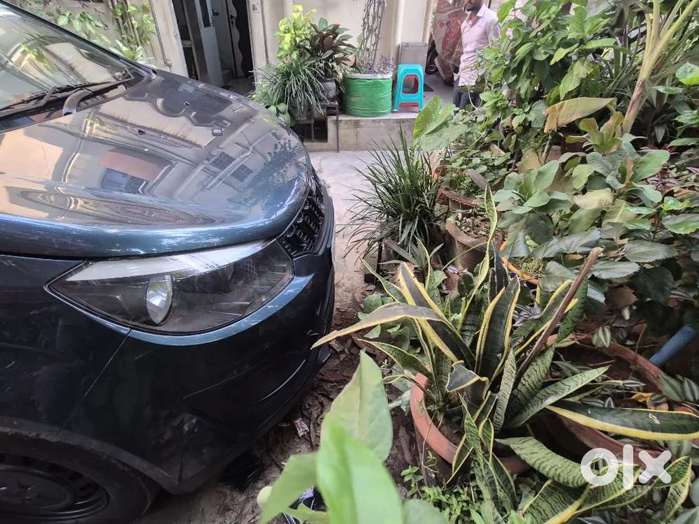 Mahindra Marazzo 1.5 2019 Looking For Direct Buyer, No Spinny,cars24