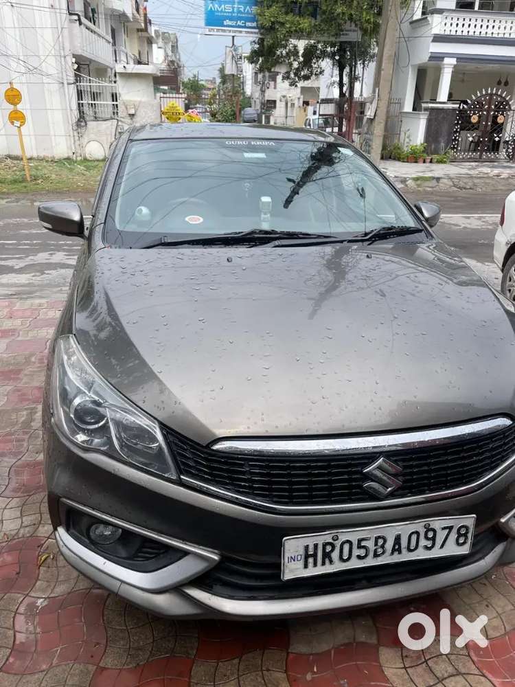 Maruti Suzuki Ciaz 2019 Cng & Hybrids Well Maintained
