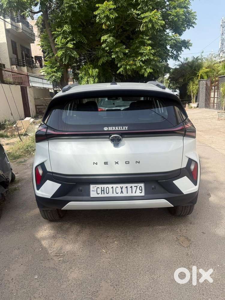 Tata Petrol Car 2024