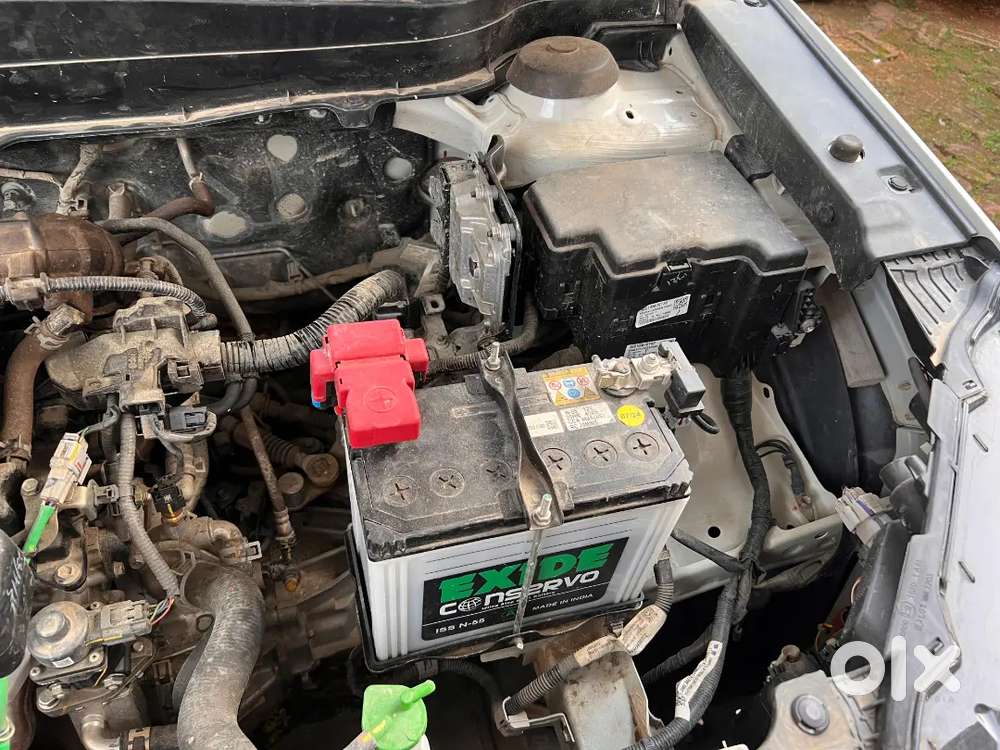 Maruti Suzuki Grand Vitara 2024 Petrol Well Maintained