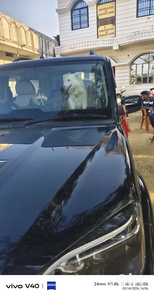 Mahindra Scorpio Classic 2024 Diesel Well Maintained