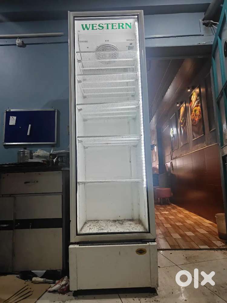 500 ltr visi cooler fridge (western)