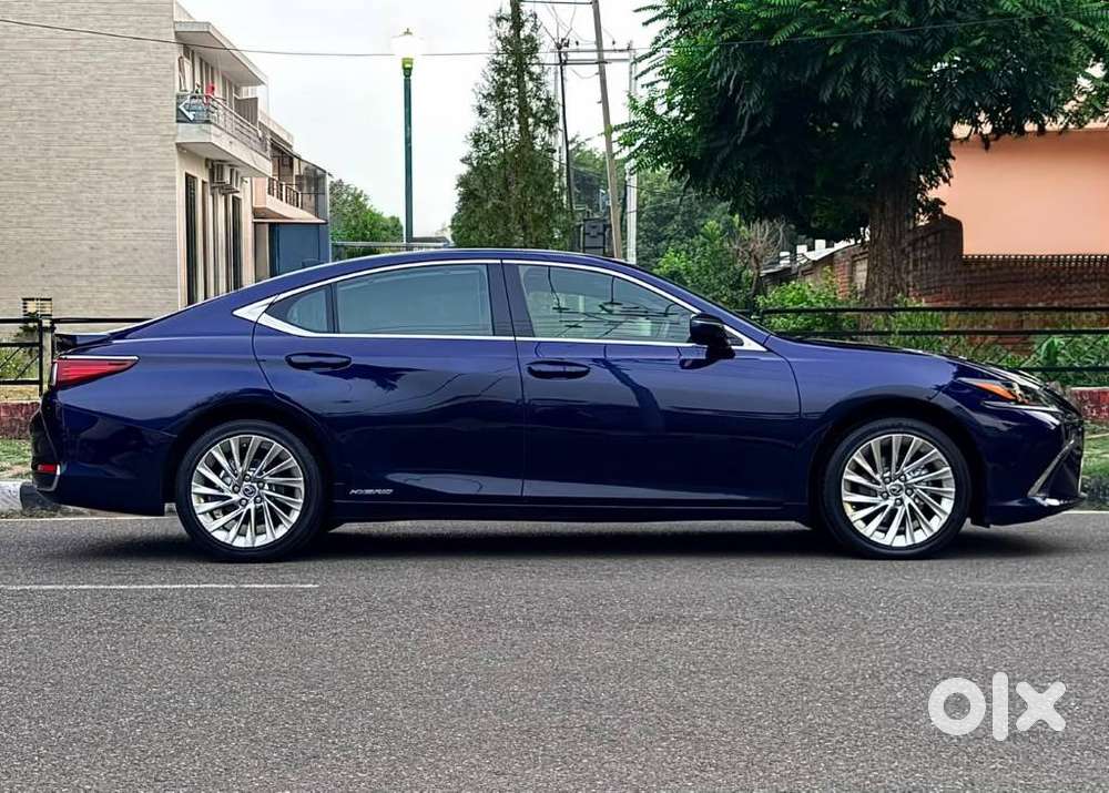 Lexus Es 300h Luxury, 2021, Petrol