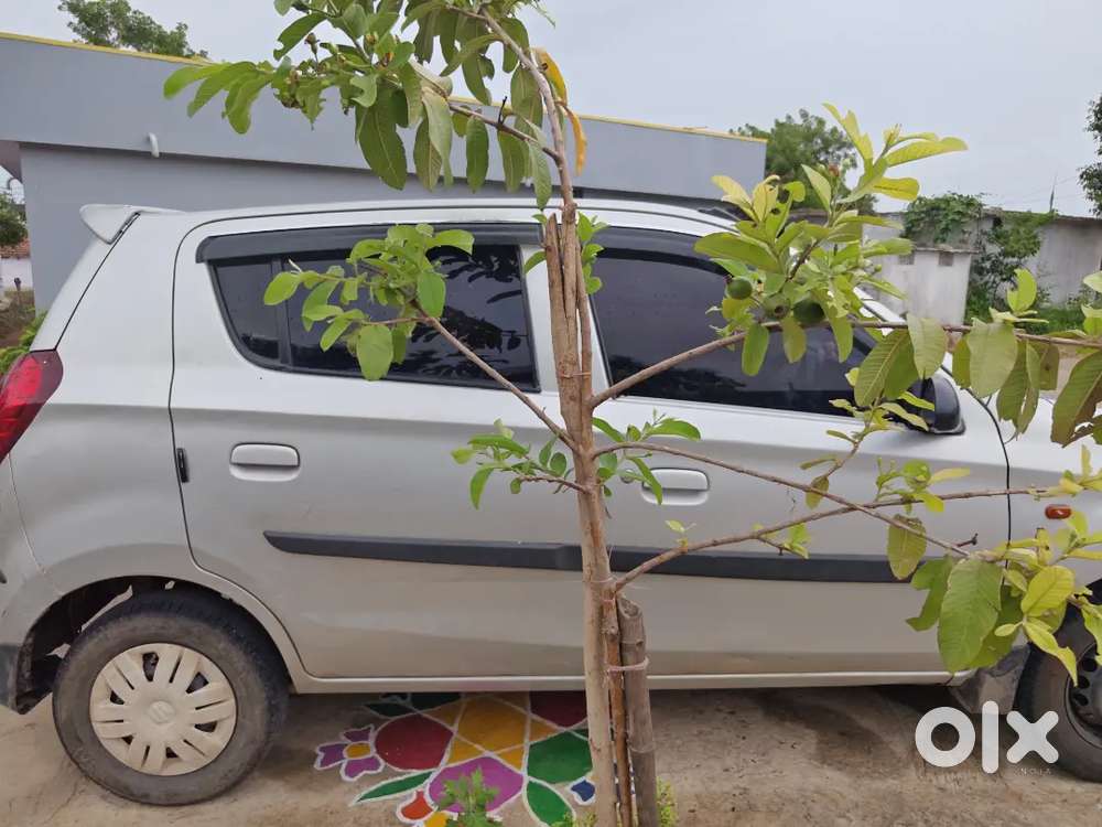 Maruti Suzuki Alto 2014