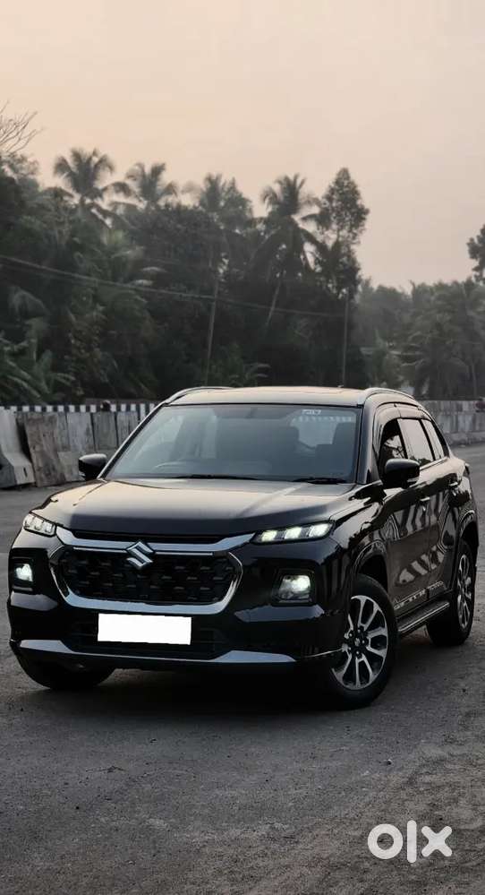 Grand Vitara Full Option [strong Hybrid Alpha+]