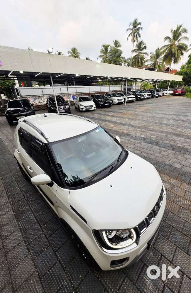 Maruti Suzuki Ignis 1.2 Alpha Mt, 2025, Petrol