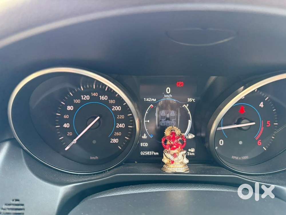 Jaguar In Excellent Condition