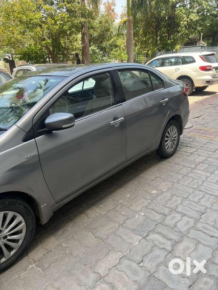 Maruti Suzuki Diesel 2017