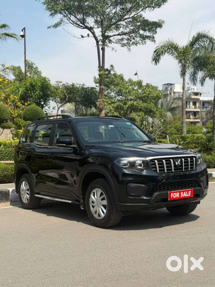 Mahindra Scorpio-n 2.0 Z4 Petrol At 7 Str, 2024, Petrol