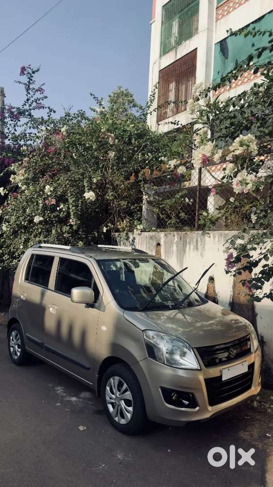Maruti Suzuki Wagon R 1.0 2013