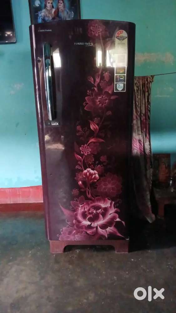 1-LG led smart TV (43 inch) (1-fridge Voltas beko) 1-Sony home theater
