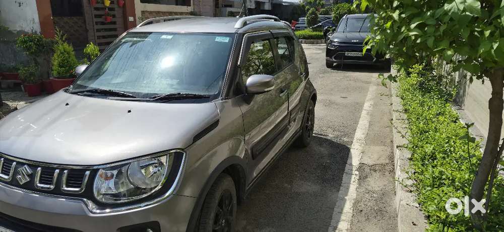 Maruti Suzuki Ignis 2024 Petrol Well Maintained