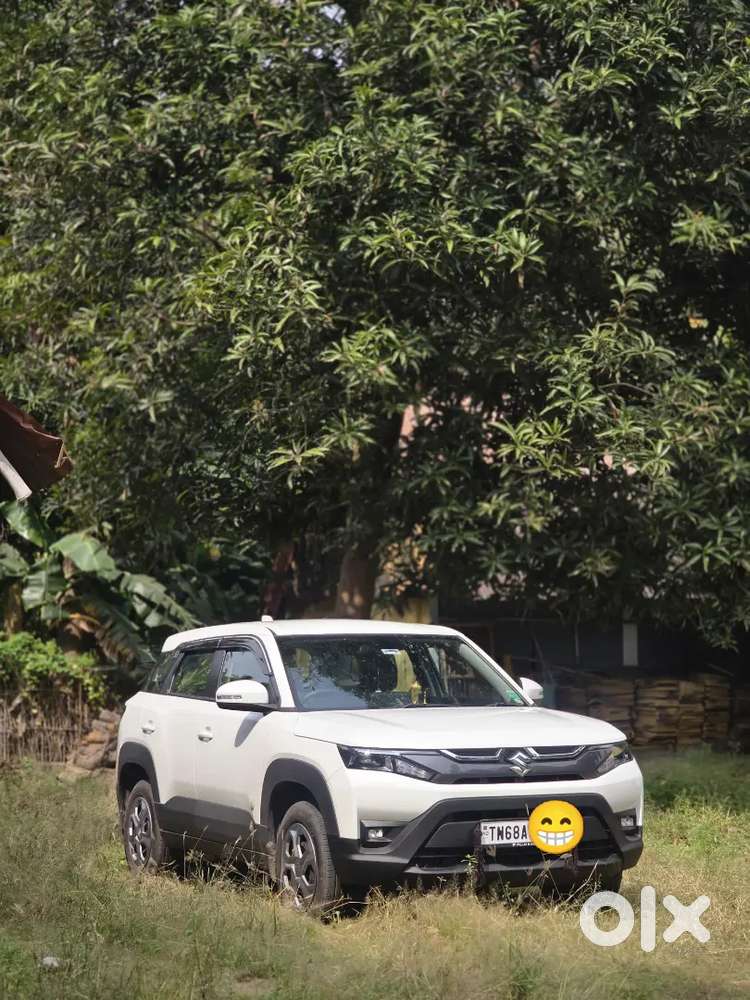 Single Owner