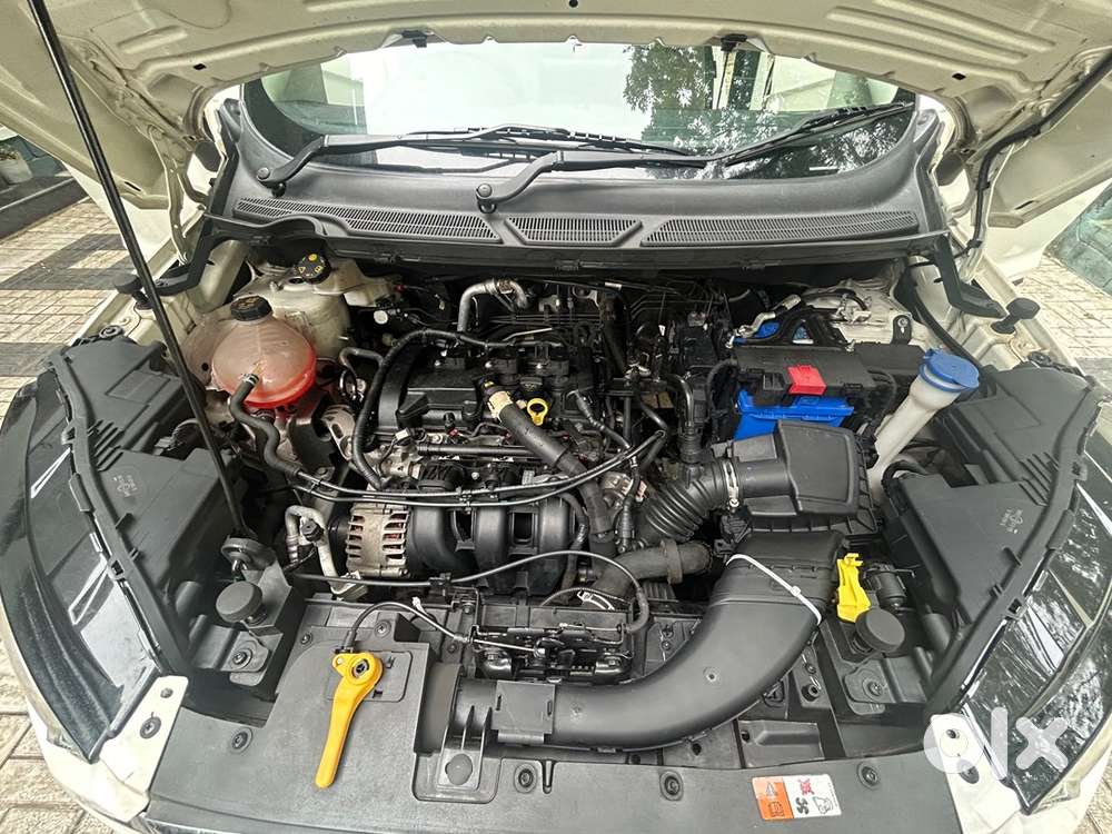 Ford Ecosport 2020 Petrol 30000 Km Driven