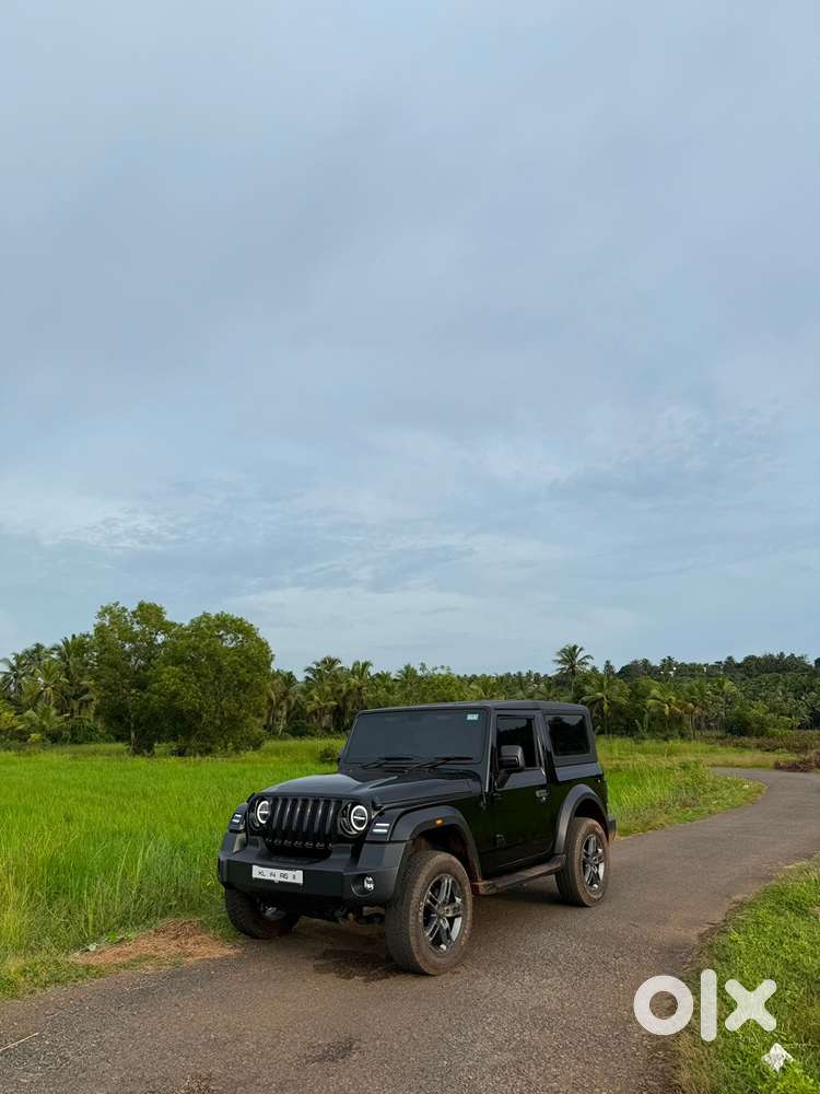 Mahindra Thar 2025 Diesel 25000 Km Driven
