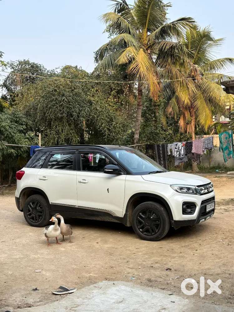 Vitara Breeza