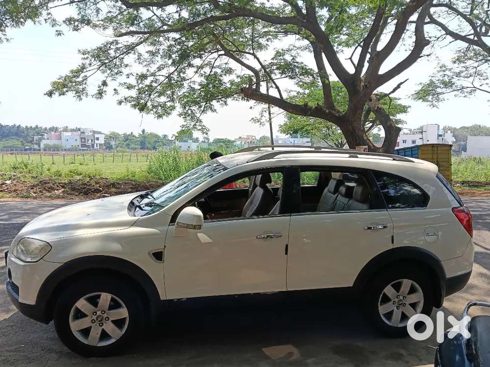 Good Condition White Beauty