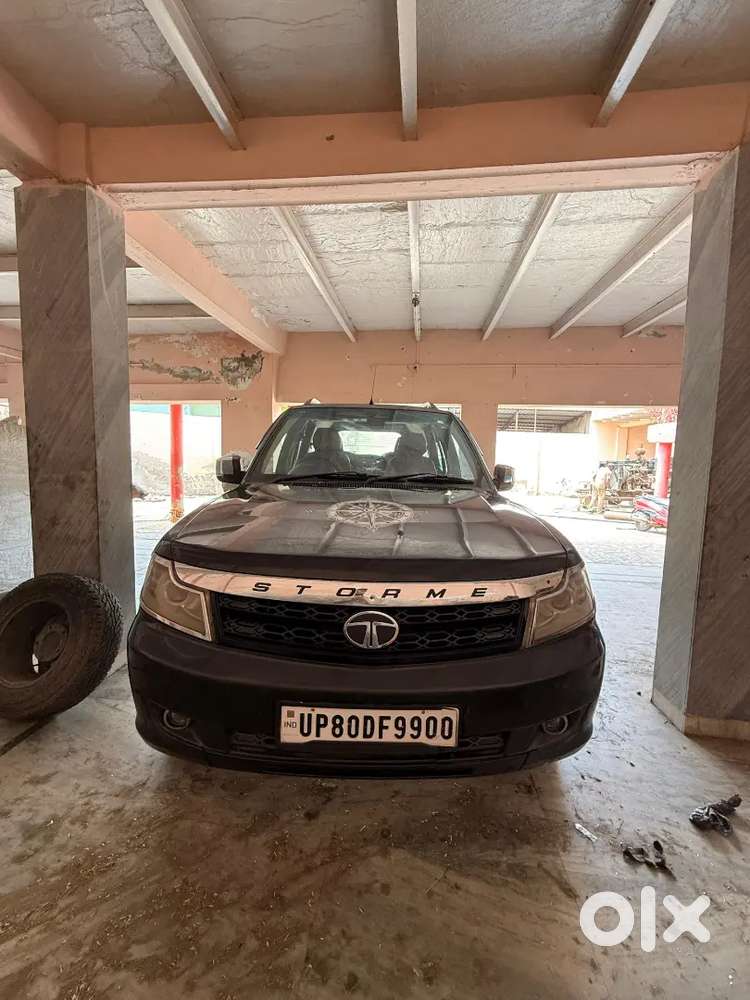 Vip Condition Top Model Safari Storme