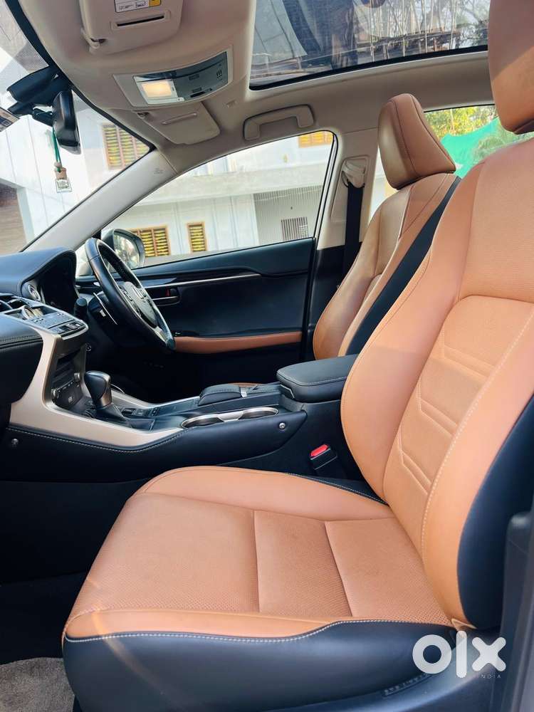 Lexus Nx Lexus-nx-300h-luxury, 2020, Petrol