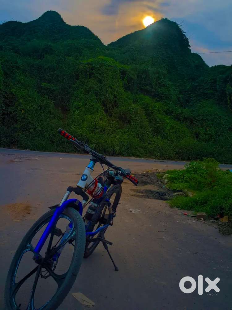 Sunset Hills Sunset Cyclery Inc 2025 Siesta Key Electric Bike